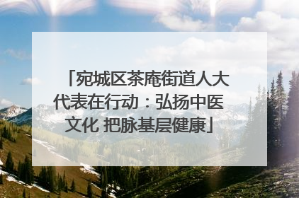 宛城区茶庵街道人大代表在行动：弘扬中医文化 把脉基层健康