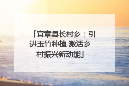 宜章县长村乡：引进玉竹种植 激活乡村振兴新动能