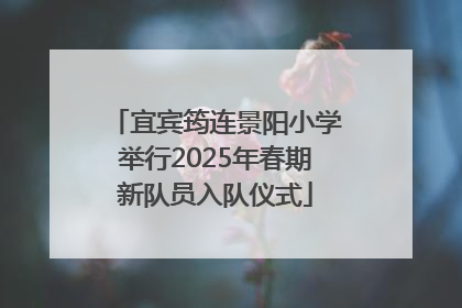 宜宾筠连景阳小学举行2025年春期新队员入队仪式
