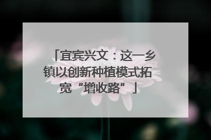 宜宾兴文：这一乡镇以创新种植模式拓宽“增收路”