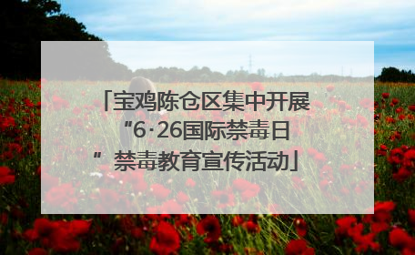 宝鸡陈仓区集中开展“6･26国际禁毒日”禁毒教育宣传活动