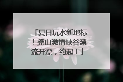 夏日玩水新地标！尧山激情峡谷漂流开漂，约起！