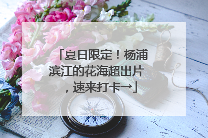 夏日限定！杨浦滨江的花海超出片，速来打卡→