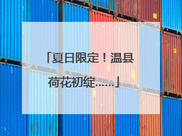 夏日限定！温县荷花初绽……