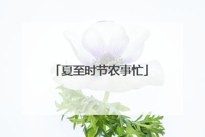 夏至时节农事忙