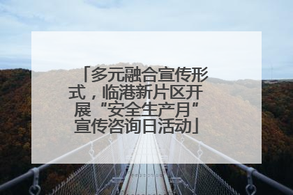 多元融合宣传形式，临港新片区开展“安全生产月”宣传咨询日活动