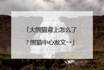 大熊猫背上怎么了？熊猫中心发文→