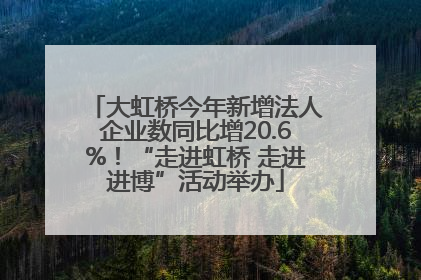 大虹桥今年新增法人企业数同比增20.6%！“走进虹桥 走进进博”活动举办