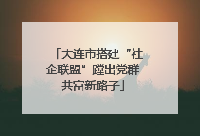 大连市搭建“社企联盟”蹚出党群共富新路子