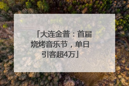 大连金普：首届烧烤音乐节，单日引客超4万