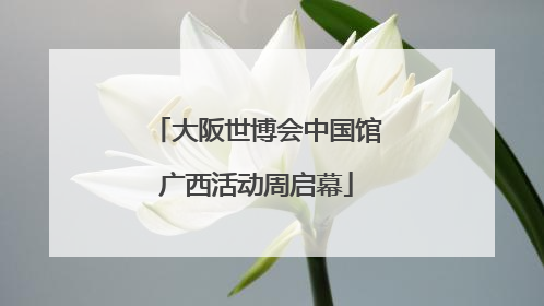 大阪世博会中国馆广西活动周启幕