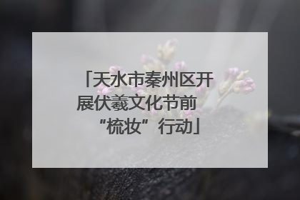 天水市秦州区开展伏羲文化节前 “梳妆”行动