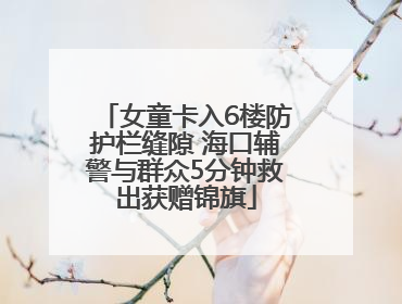 女童卡入6楼防护栏缝隙 海口辅警与群众5分钟救出获赠锦旗