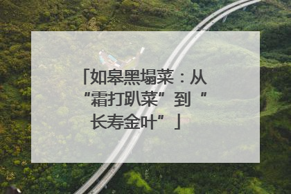 如皋黑塌菜：从“霜打趴菜”到“长寿金叶”