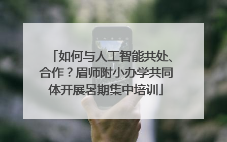 如何与人工智能共处、合作？眉师附小办学共同体开展暑期集中培训