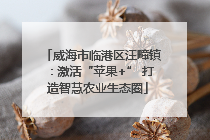 威海市临港区汪疃镇：激活“苹果+” 打造智慧农业生态圈