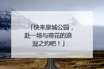 快来泉城公园，赴一场与荷花的浪漫之约吧！