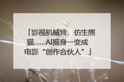 影视机械臂、仿生熊猫……AI摇身一变成电影“创作合伙人”