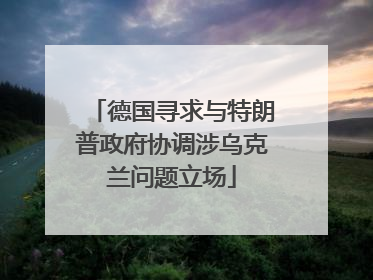 德国寻求与特朗普政府协调涉乌克兰问题立场