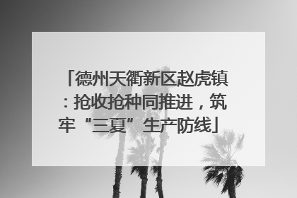 德州天衢新区赵虎镇：抢收抢种同推进，筑牢“三夏”生产防线