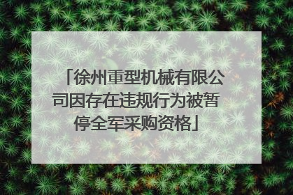 徐州重型机械有限公司因存在违规行为被暂停全军采购资格