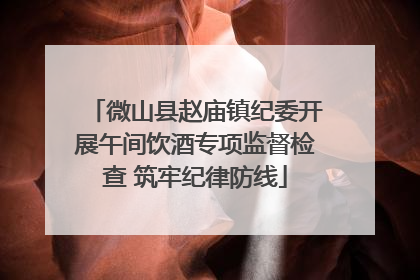 微山县赵庙镇纪委开展午间饮酒专项监督检查 筑牢纪律防线