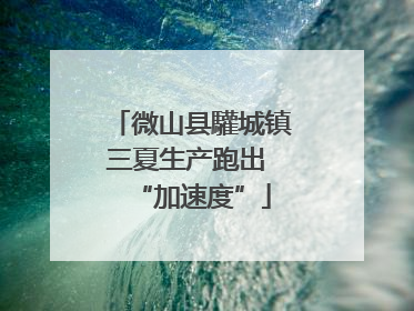 微山县驩城镇三夏生产跑出 “加速度”