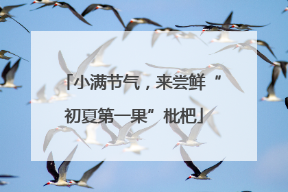 小满节气，来尝鲜“初夏第一果”枇杷