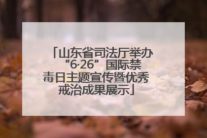 山东省司法厅举办“6·26”国际禁毒日主题宣传暨优秀戒治成果展示