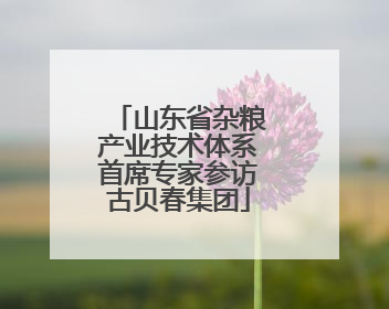 山东省杂粮产业技术体系首席专家参访古贝春集团