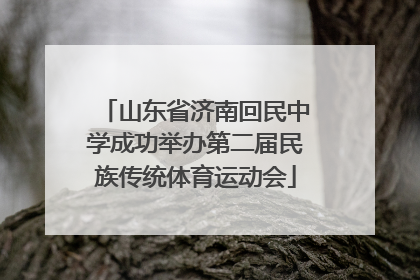 山东省济南回民中学成功举办第二届民族传统体育运动会