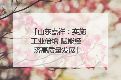 山东嘉祥：实施工业倍增 赋能经济高质量发展