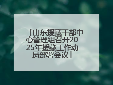 山东援藏干部中心管理组召开2025年援藏工作动员部署会议