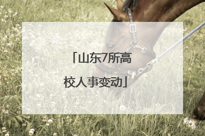 山东7所高校人事变动