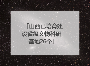 山西已培育建设省级文物科研基地26个