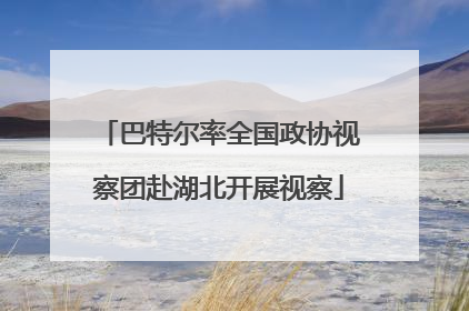 巴特尔率全国政协视察团赴湖北开展视察
