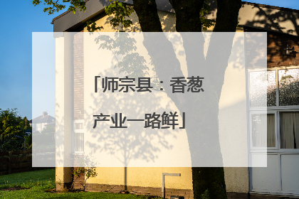 师宗县：香葱产业一路鲜