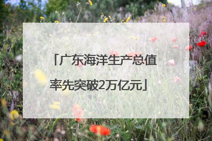 广东海洋生产总值率先突破2万亿元