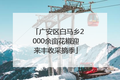 广安区白马乡2000余亩花椒迎来丰收采摘季