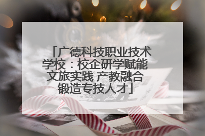 广德科技职业技术学校：校企研学赋能文旅实践 产教融合锻造专技人才