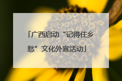 广西启动“记得住乡愁”文化外宣活动