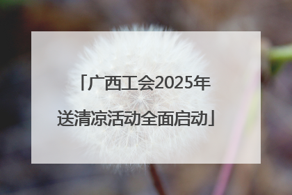 广西工会2025年送清凉活动全面启动