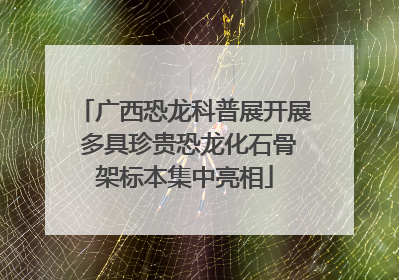 广西恐龙科普展开展 多具珍贵恐龙化石骨架标本集中亮相