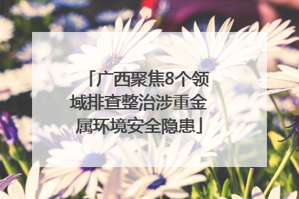 广西聚焦8个领域排查整治涉重金属环境安全隐患