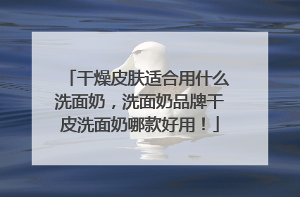干燥皮肤适合用什么洗面奶，洗面奶品牌干皮洗面奶哪款好用！