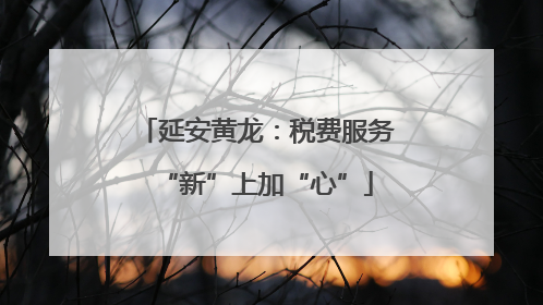 延安黄龙：税费服务“新”上加“心”