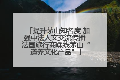 提升茅山知名度 加强中法人文交流传播 法国旅行商踩线茅山“道养文化产品”