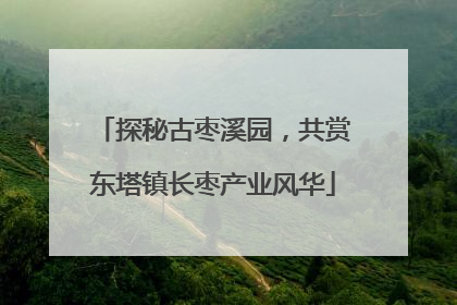 探秘古枣溪园，共赏东塔镇长枣产业风华