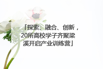 探索、融合、创新，20所高校学子齐聚梁溪开启产业训练营