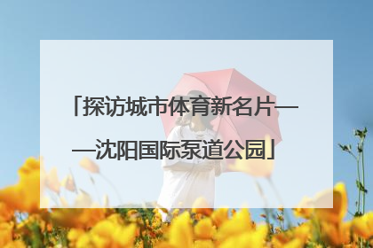 探访城市体育新名片——沈阳国际泵道公园